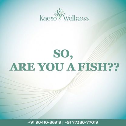 Picture of So, Are you a Fish??