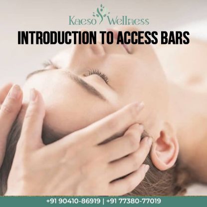Picture of Introduction to Access Bars