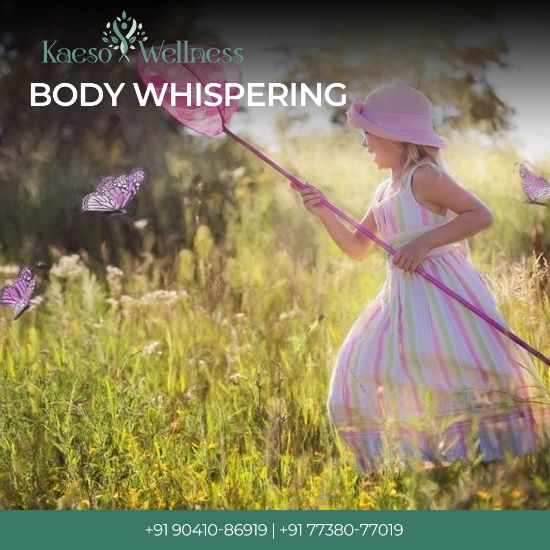 Picture of Body Whispering