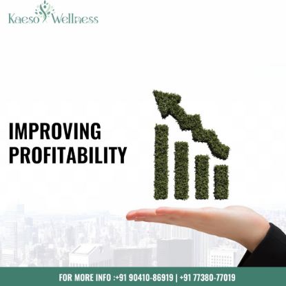 Picture of Improving Profitability