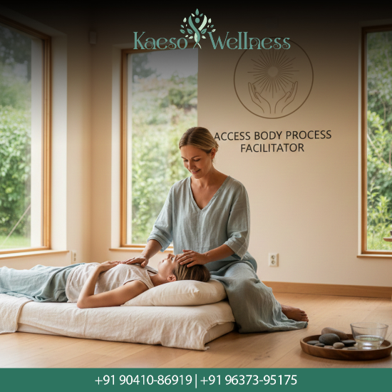 Picture of Access Body Process Facilitator