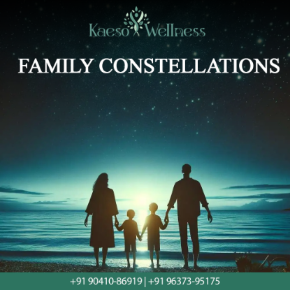 Picture of Family Constellations