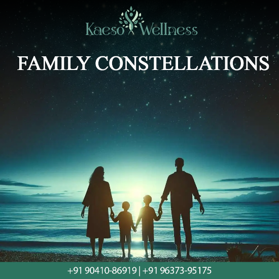 Picture of Family Constellations